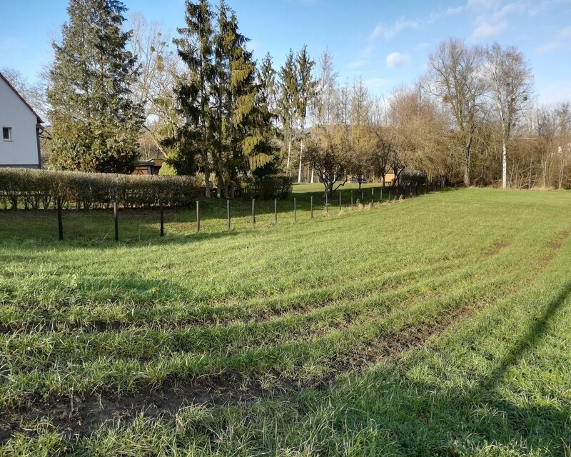 Superbe terrain à bâtir d'environ 11 ares à Oberkutzenhausen (67250) - Img 20191214 135418