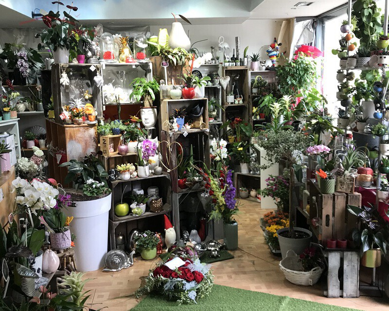 Vente d'un fonds de commerce, magasin de fleurs à Morhange - Img 3837 1 