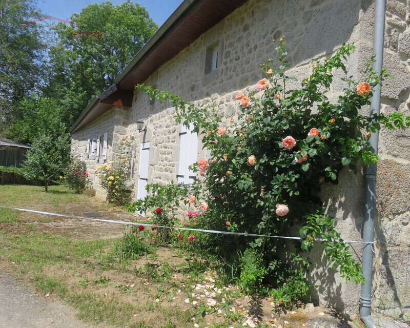 Ancienne ferme Creusoise entièrement restaurée - L'entrée de la maison