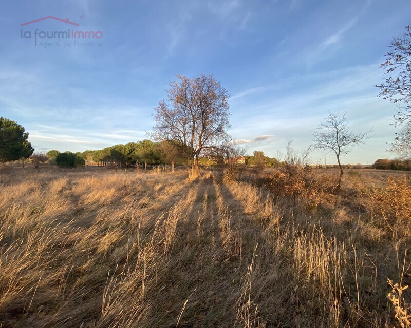 Terrain agricole de 6340 m2 - Canet en Roussillon - F0146e7b-cdd6-436d-8cc8-3ab27e09af7e