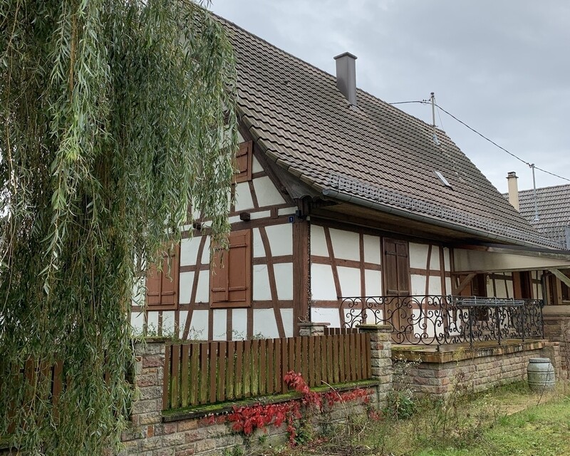 Maison 150 m² à Scheibenhard - Img 8522