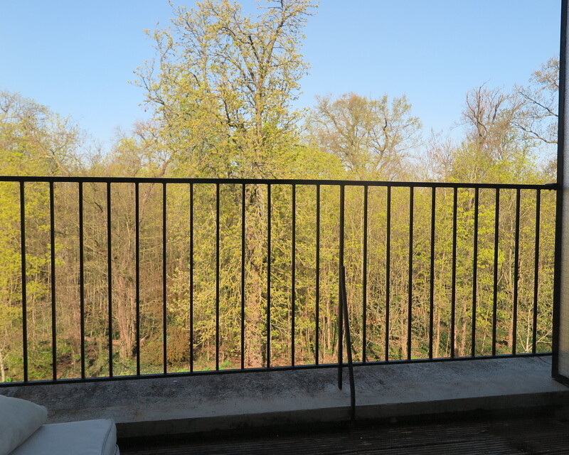 3 Pièces 61M² - Terrasse sur bois - Dernier Etage - Img 6244