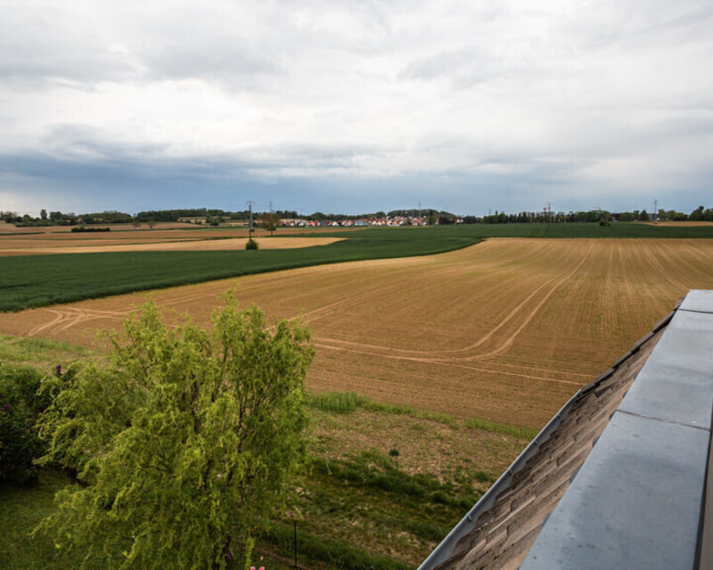 Dernier étage : très belles prestations + terrasse avec vue - Vue champs depuis terrasse  17 rue du nord niederhausbergen 20220504